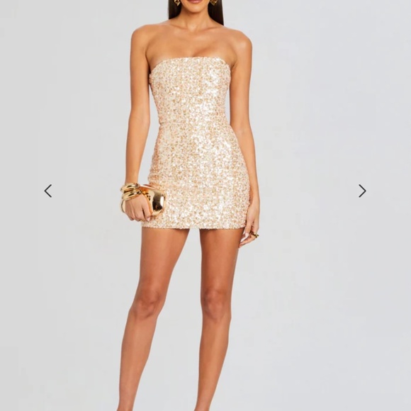 Retrofete Dresses & Skirts - Retrofete Heather sequin Dress in Champagne